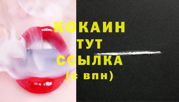 сатива Елабуга